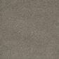 Dream Weaver Monte Carlo III Carpet in Umber, , large