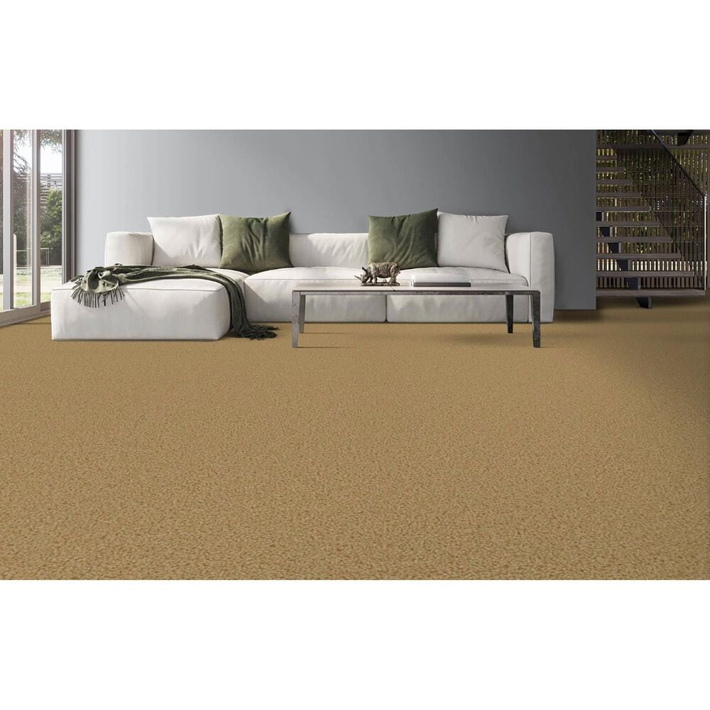 Masland Indulgence Carpet in Anzac, , large