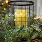 The Gerson Company Holiday Centerpiece Candle Holder in Green and Black, , large