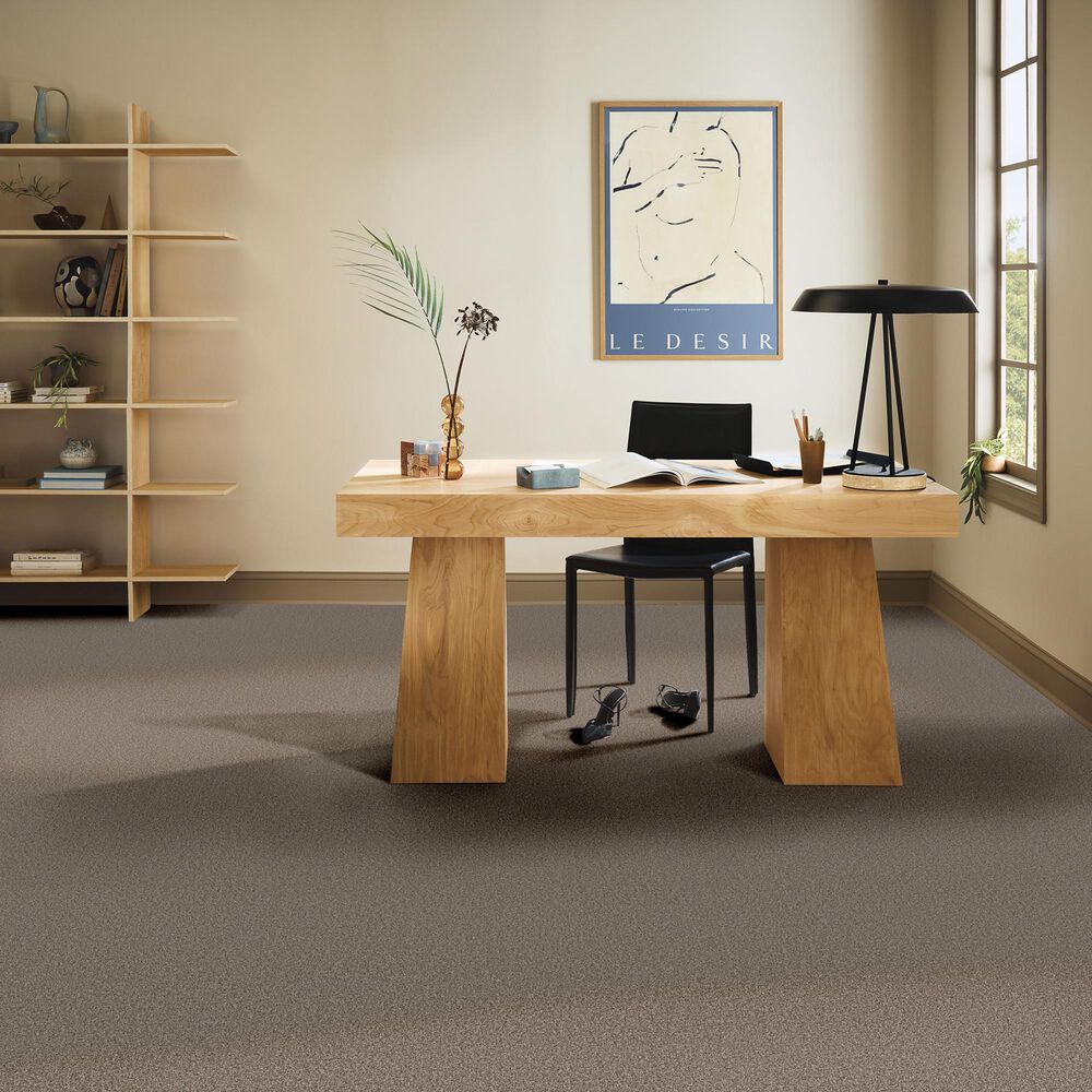 Anderson Tuftex Wyndham Estate Carpet in Ottertail, , large