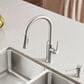 Blanco Empressa Pull-Down Kitchen Faucet 1.5 GPM in PVD Steel, , large