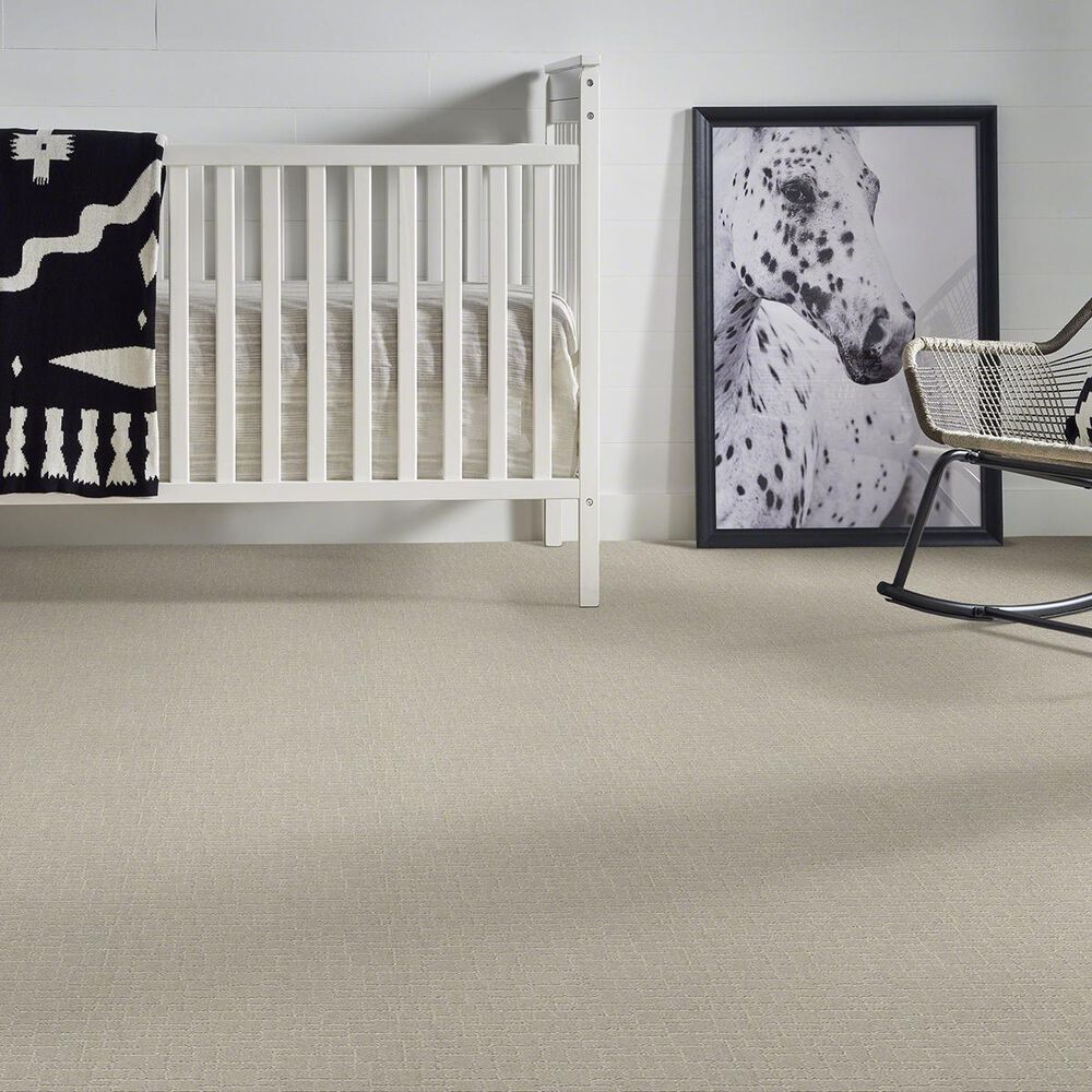 Anderson Tuftex New Tricks Carpet in Silver Fox, , large