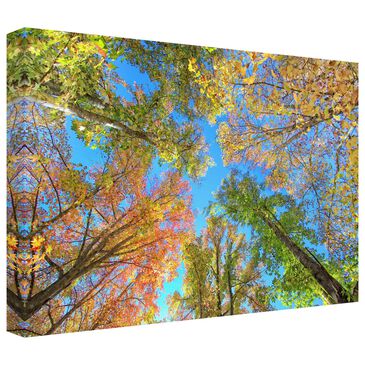 Timberlake Beata Czyzowska "Autumn Vibes" 16" x 24" Canvas Art in Yellow/Light Blue/Green/Brown, , large