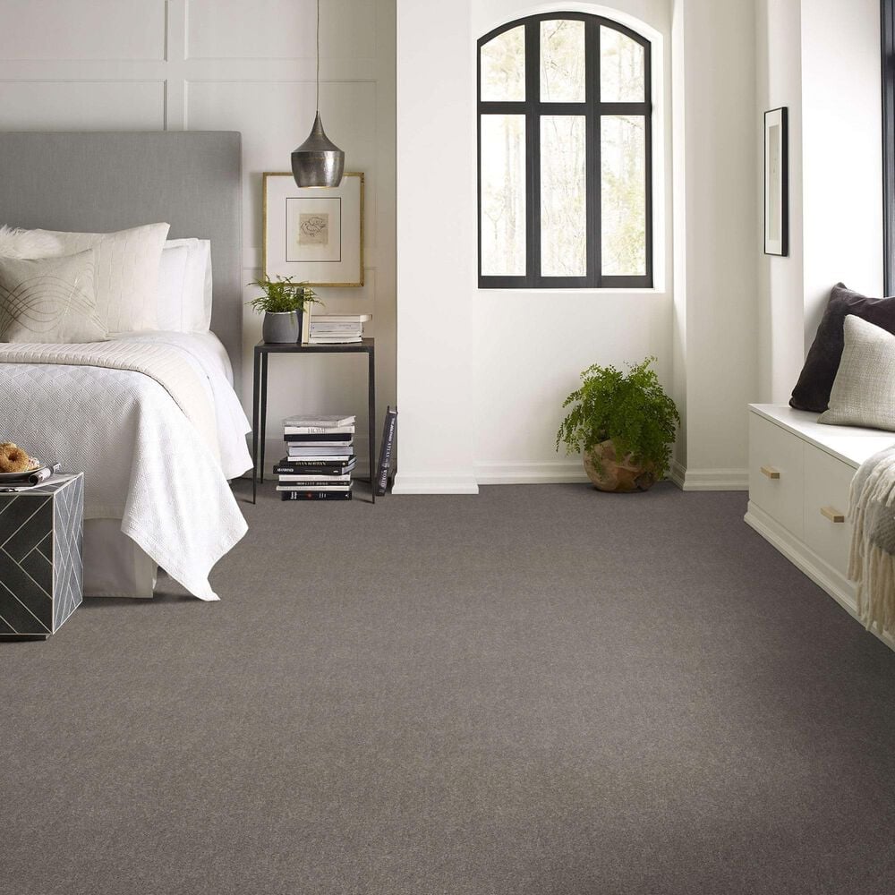 Shaw Hot Topic Carpet in Winter Birch, , large
