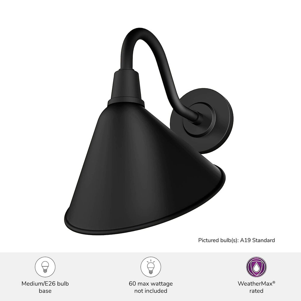Hunter Cassius 1-Light Outdoor Medium Wall Light in Matte Black, , large