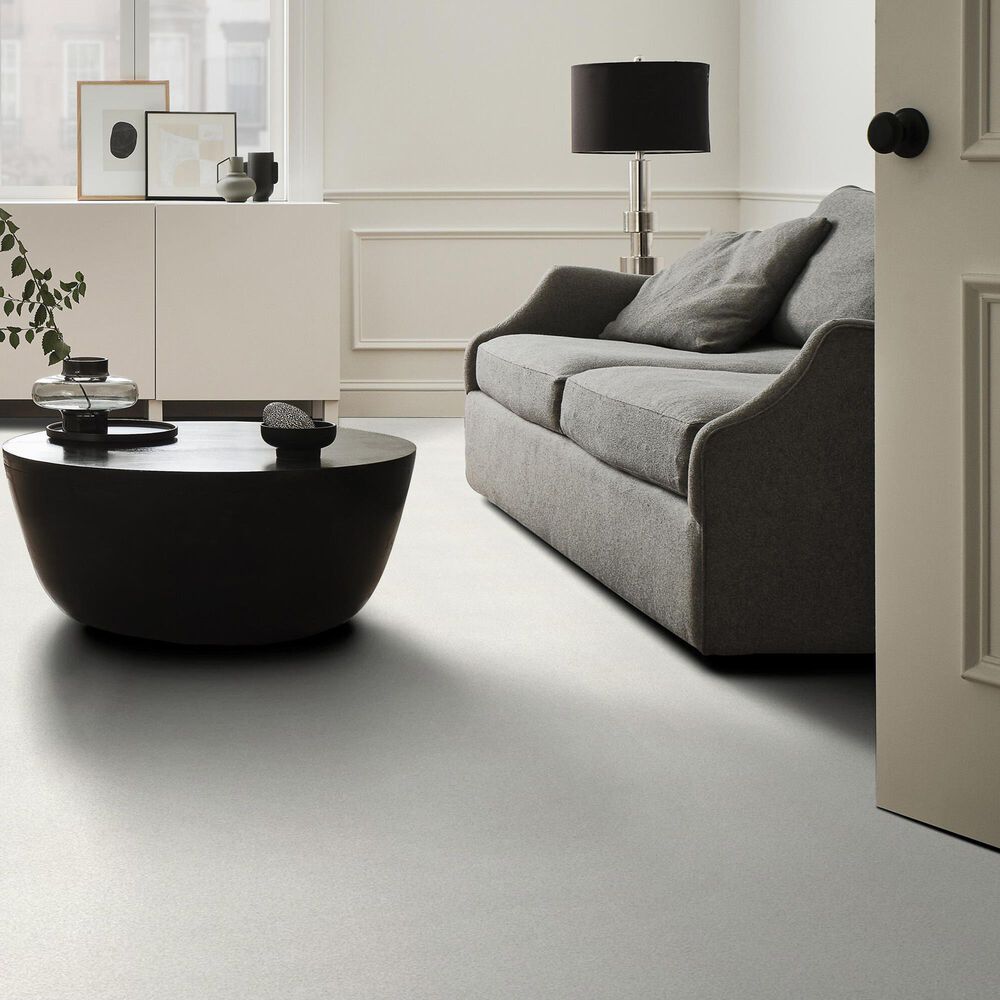 Shaw Tonal Comfort Ii Carpet in Neighborhood Bistro, , large