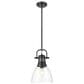 Golden Lighting Duncan 1-Light Small Pendant with Rod and Clear Shade in Matte Black, , large