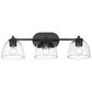 Golden Lighting Roxie 3-Light Bath Vanity in Matte Black, , large
