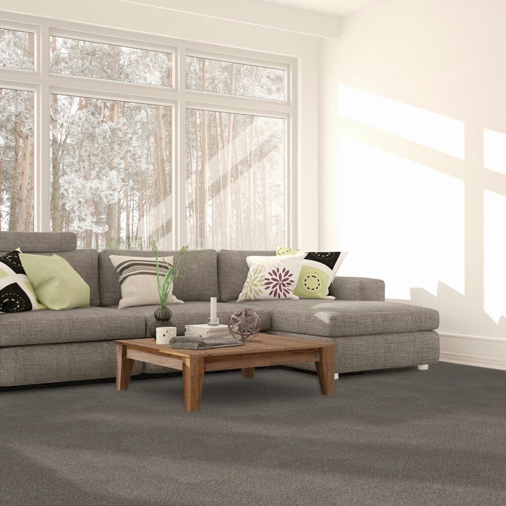 Dream Weaver Beach Club III Carpet in Canyon, , large