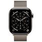 Apple Watch Series 11 (GPS+Cellular) 42mm Titanium Case with Milanese Loop in Natural and 2-Year AppleCare+, , large