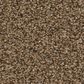 Anderson Tuftex Fabulous Carpet in Nutshell, , large