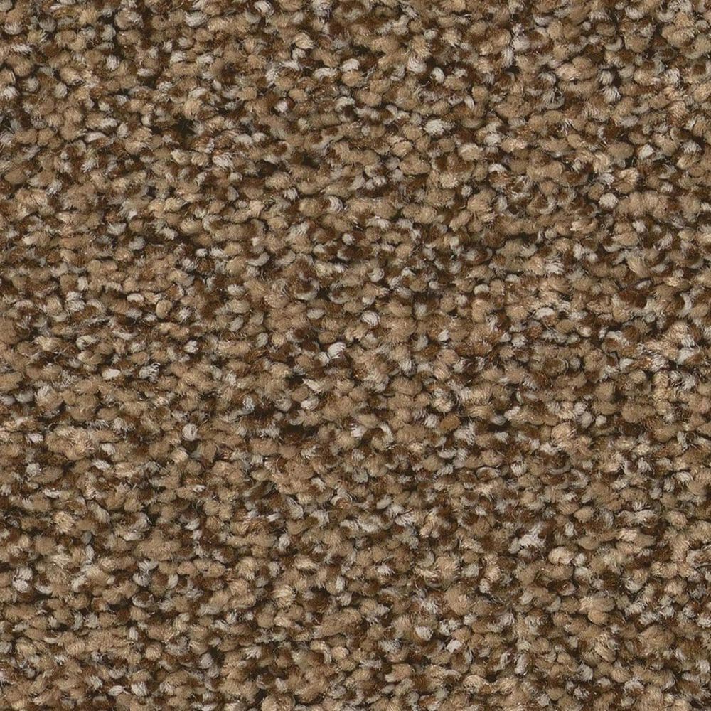 Anderson Tuftex Fabulous Carpet in Nutshell, , large