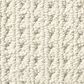 Anderson Tuftex San Lucas Carpet in Aged White, , large