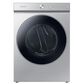 Samsung Gas Dryer with Steam in Silver Steel, , large
