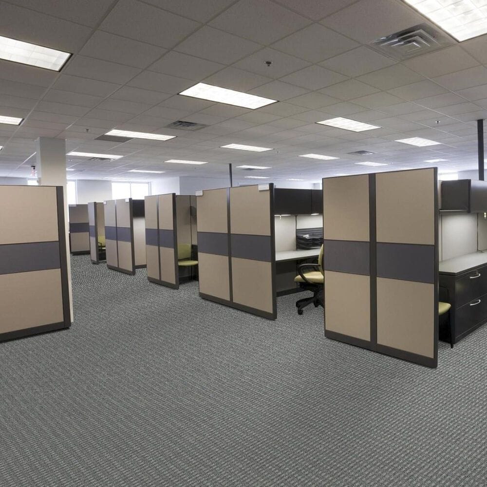 Shaw Fair Shake Carpet in Trustworthy, , large
