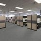 Shaw Fair Shake Carpet in Trustworthy, , large