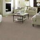 Anderson Tuftex Caress Cozy Harbor I Carpet in Sandstone, , large