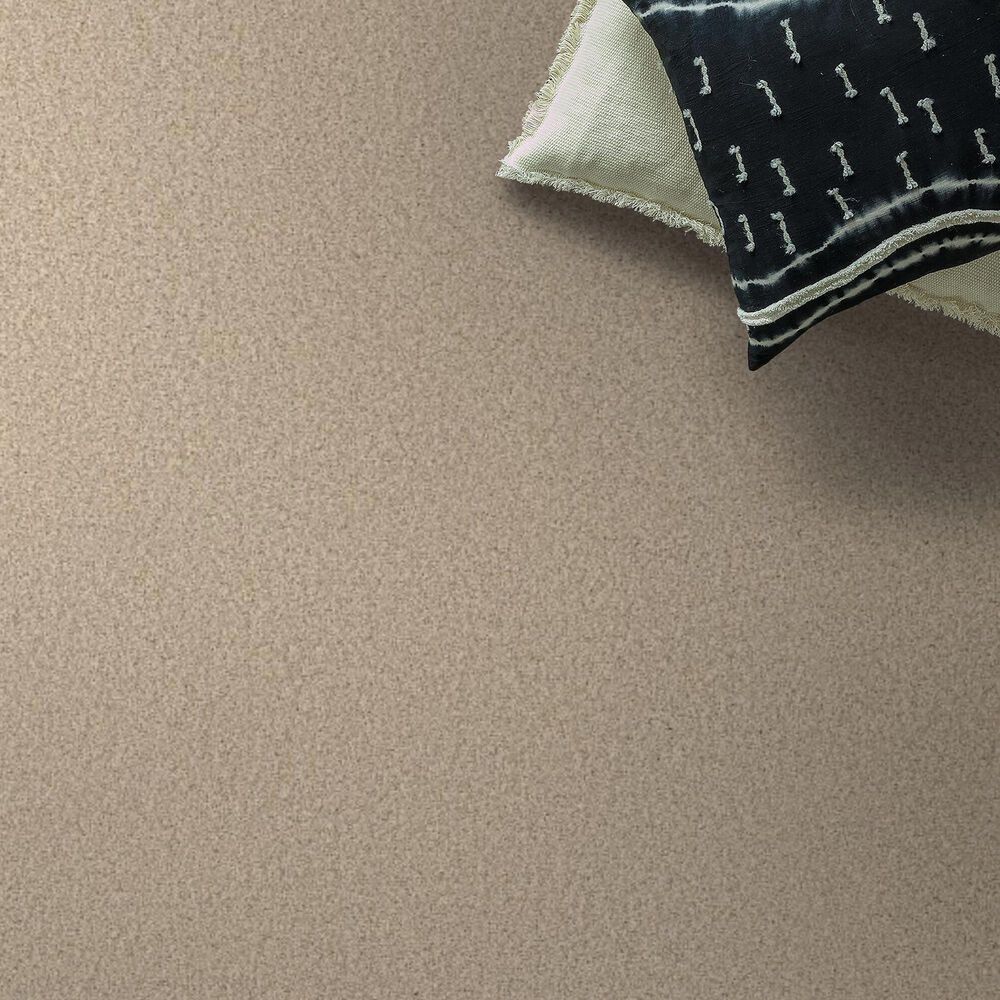Anderson Tuftex Fabulous Carpet in Risotto, , large