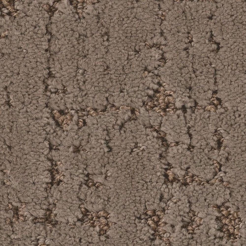 Anderson Tuftex Adair Carpet in Meet And Greet, , large