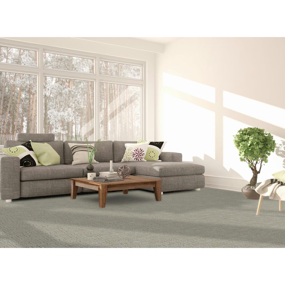 Dream Weaver Oxford II Carpet in Portrush, , large