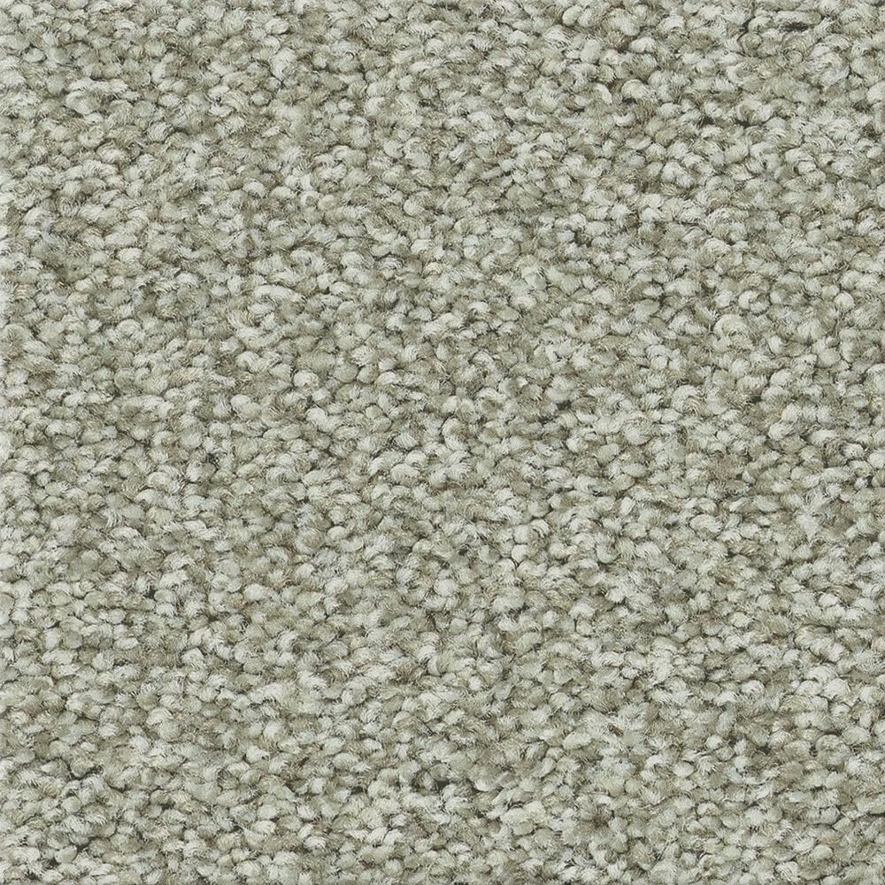 Shaw Tonal Comfort II Carpet in Willow Tree, , large