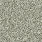 Shaw Tonal Comfort II Carpet in Willow Tree, , large