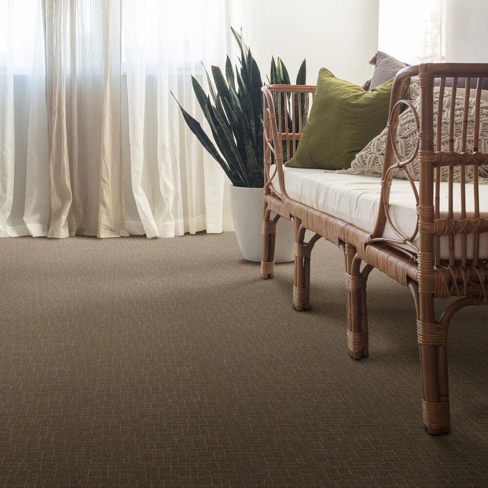 Anderson Tuftex New Tricks Carpet in Driftwood, , large