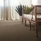 Anderson Tuftex New Tricks Carpet in Driftwood, , large