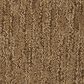 Masland Mesa Verde Carpet in Valley Forge, , large