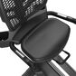 FreeMotion R24 Recumbent Bike in Black, , large