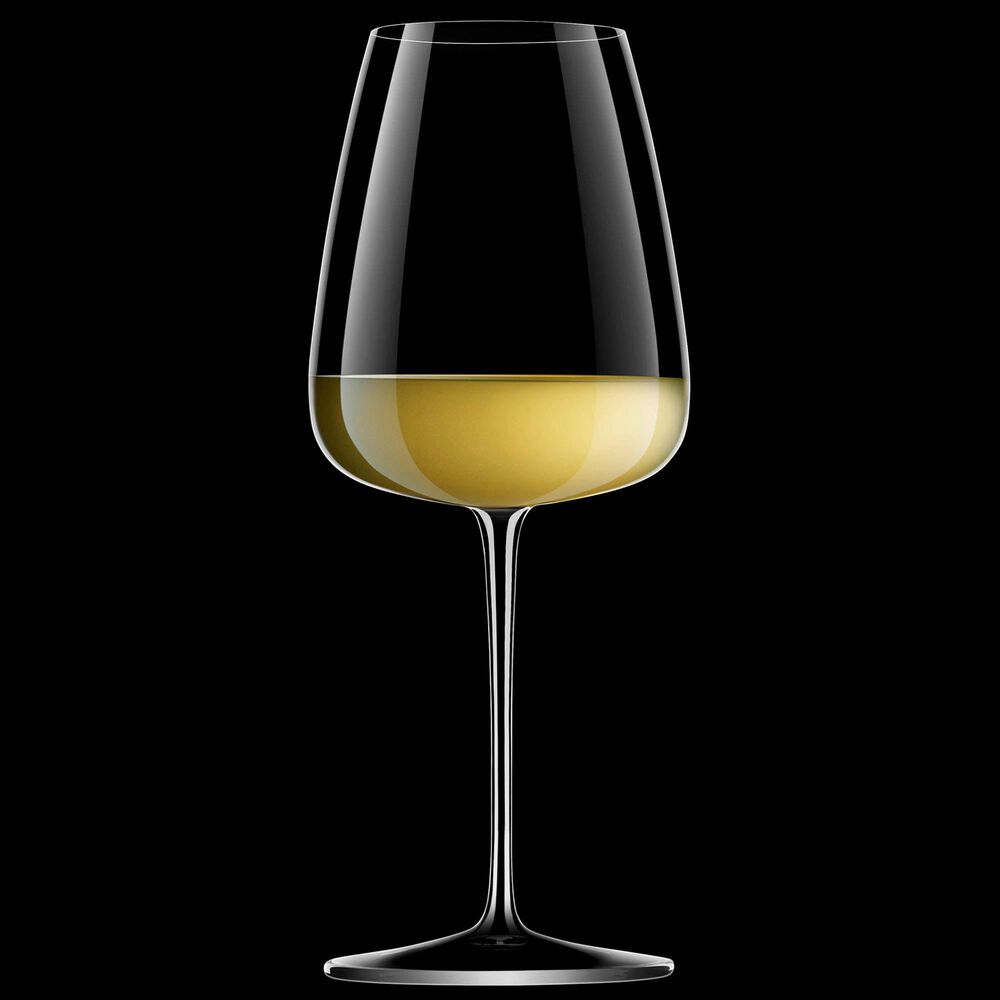 Bormioli Talismano 8-Piece Italian Premium Stemware Set in Clear, , large