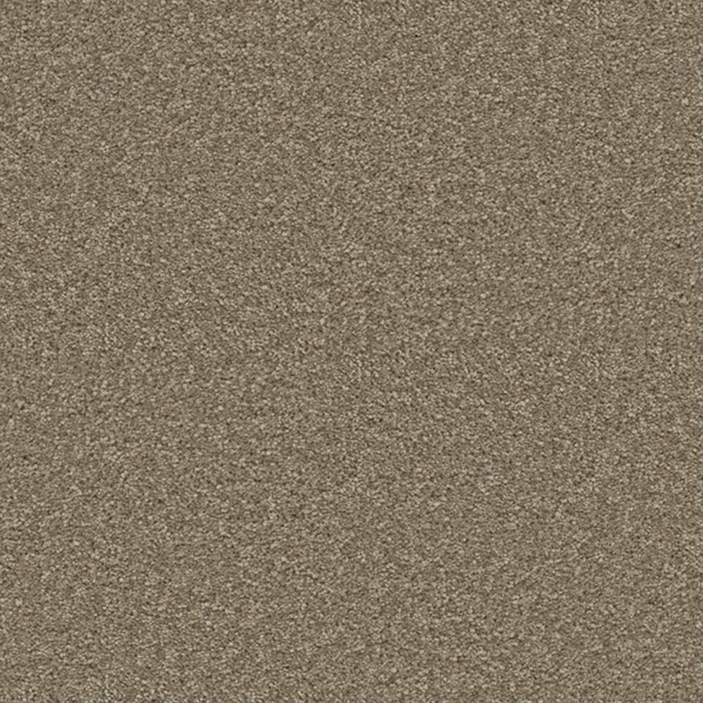Marquis Eden Carpet in Barnwood, , large