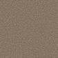 Marquis Eden Carpet in Barnwood, , large