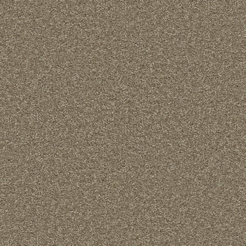Marquis Eden Carpet in Barnwood, , large