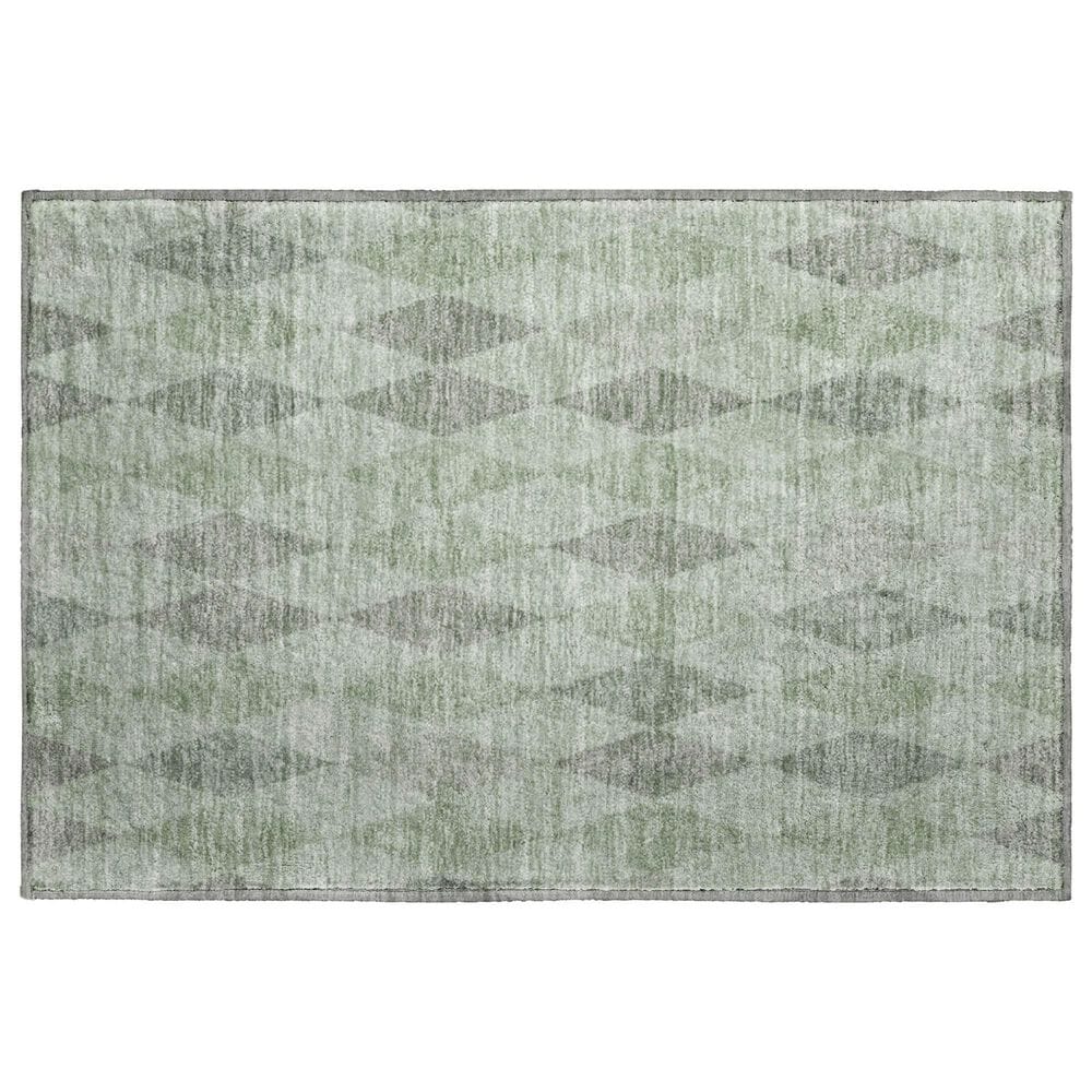 Dalyn Rug Company The Reserve TR2 Fern 2"6" x 3"10" Indoor/Outdoor Area Rug, , large