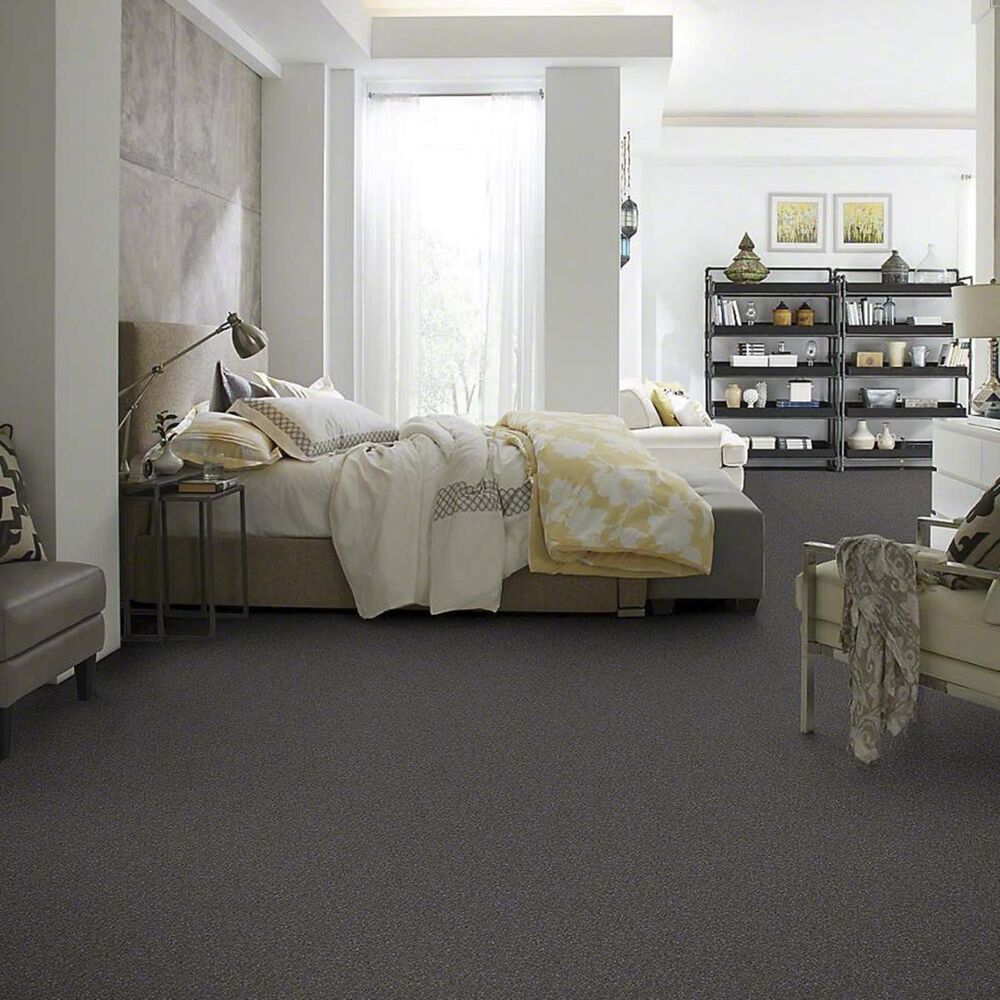 Anderson Tuftex Barracan Classic IV Carpet in Armory, , large