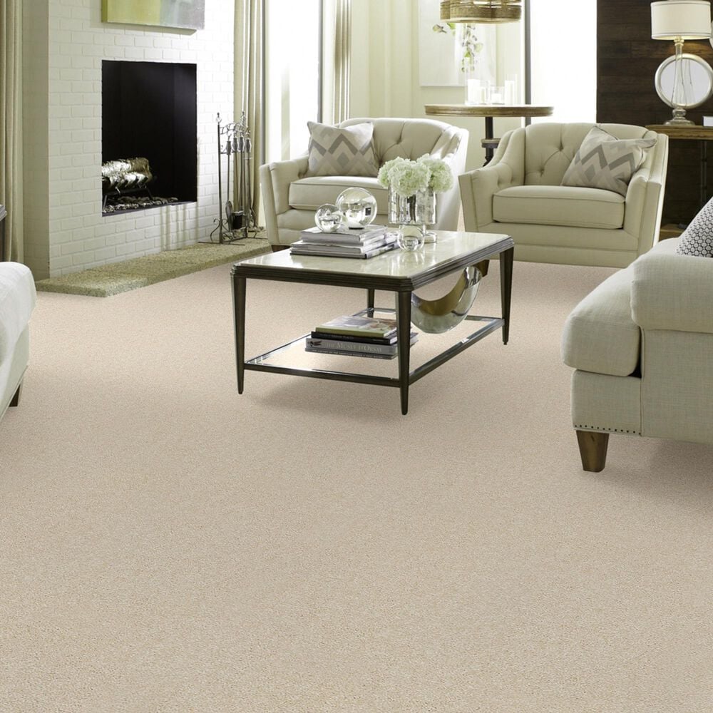 Shaw Foundations Take The Floor Texture II Carpet in Toasted, , large