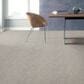 Shaw Find Your Comfort TA I Carpet in Front Row Seat, , large