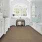 Karastan Promenade Carpet in Nomad, , large