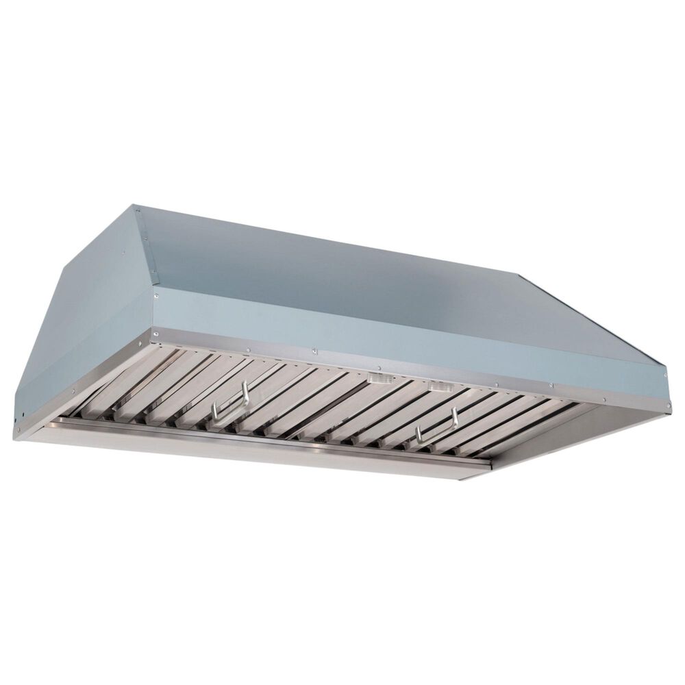 Best 48" CPDI482SB Outdoor Range Hood Insert with 1250 CFM Blower in Stainless Steel, , large