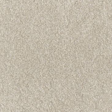 Dream Weaver Affinity IV Carpet in Bisque, , large
