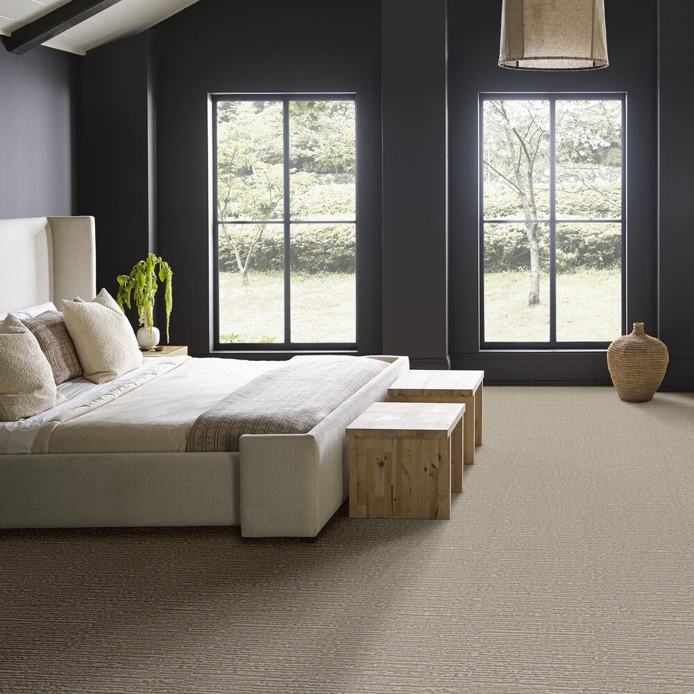 Anderson Tuftex Zion Carpet in Oyster, , large