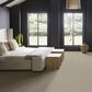 Anderson Tuftex Zion Carpet in Oyster, , large