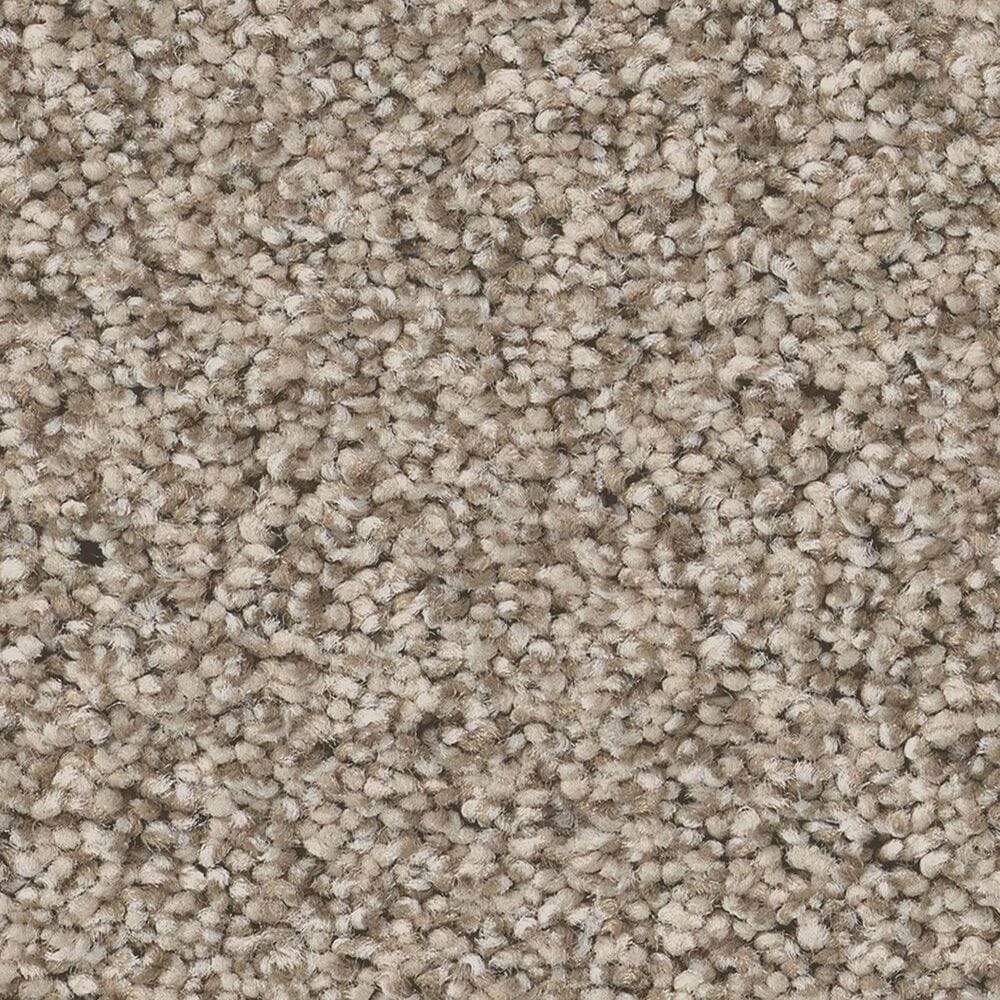 Anderson Tuftex Fabulous Carpet in White Mocha, , large