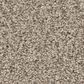 Anderson Tuftex Fabulous Carpet in White Mocha, , large