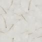 Shaw Astoria Oyster 12" x 24" Matte Porcelain Tile, , large