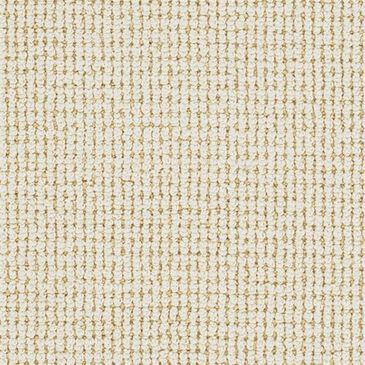 Dixie Home Oak Glen Carpet in Finch, , large