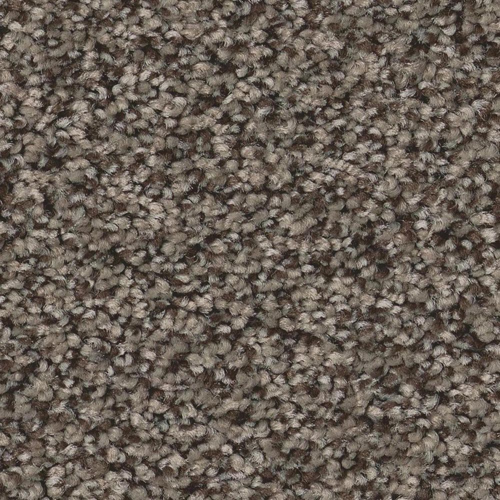 Anderson Tuftex Avalon Bay Carpet in Sable, , large
