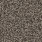 Anderson Tuftex Avalon Bay Carpet in Sable, , large