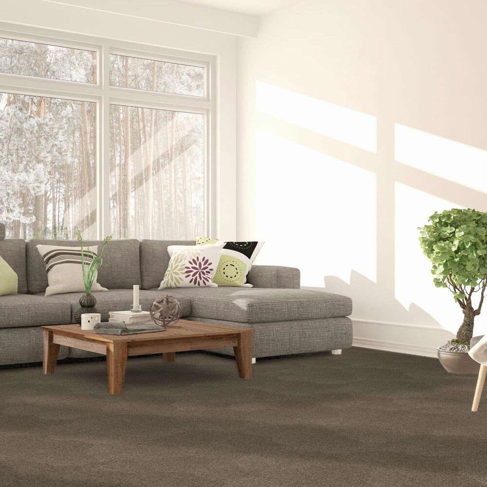 Dream Weaver Serene I Carpet in Cinnabar, , large